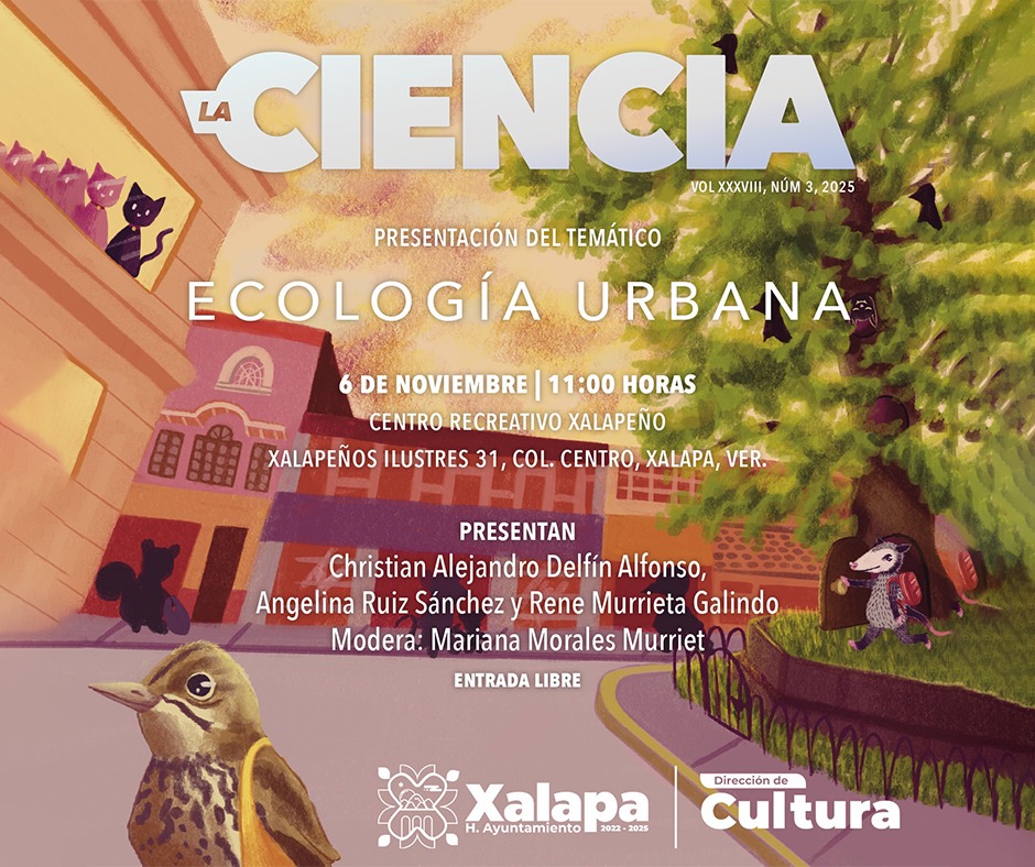 Jueves 6 de noviembre en Xalapa: Eventos Artísticos