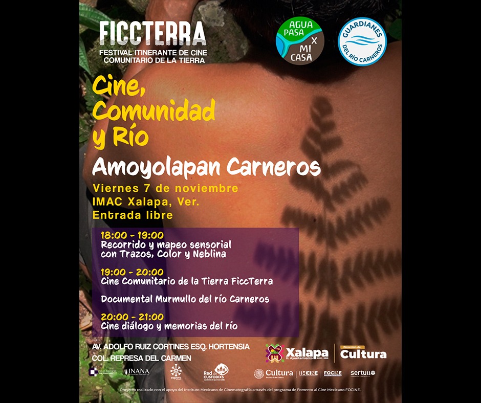 Viernes 7 de noviembre en Xalapa: Eventos Artísticos