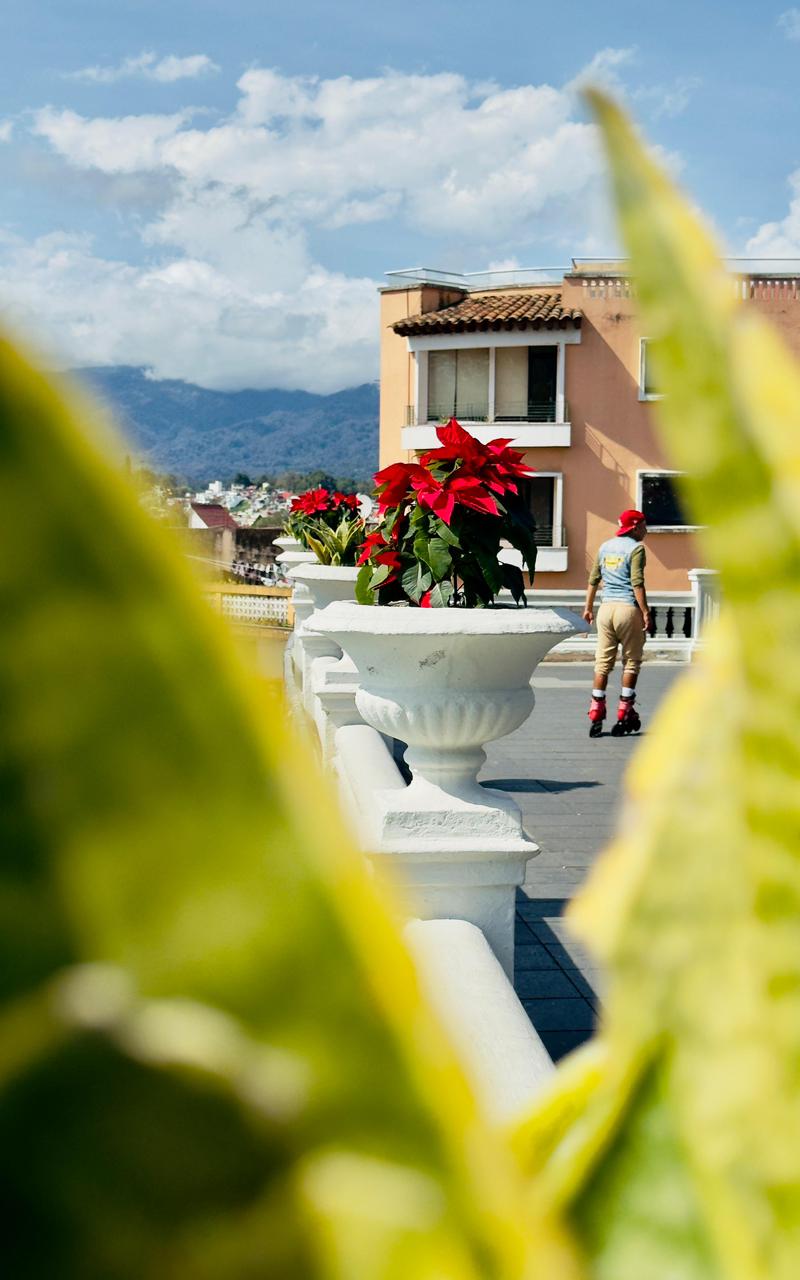 Xalapa Cambia de Look