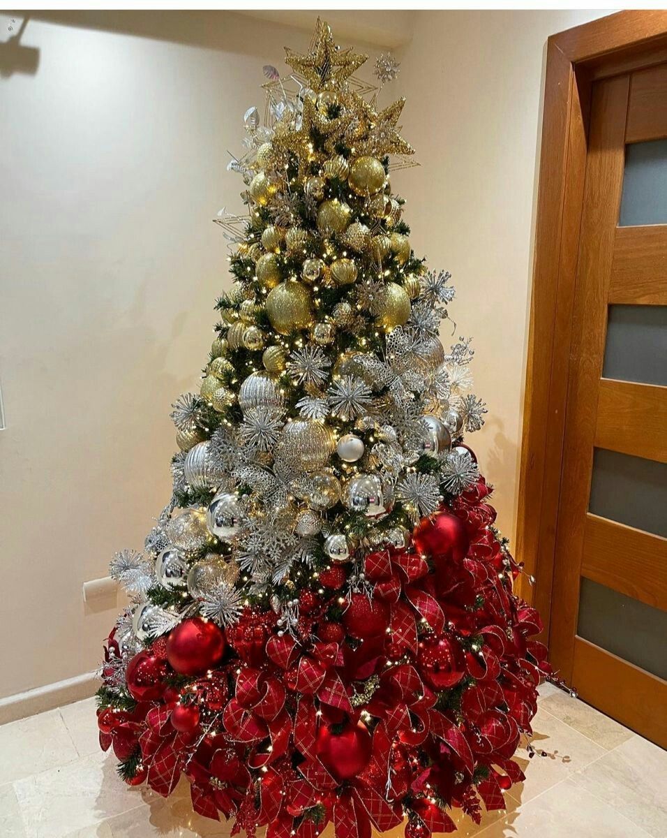 Que la Solidaridad nos dé Fuerza: Claudia Sheinbaum