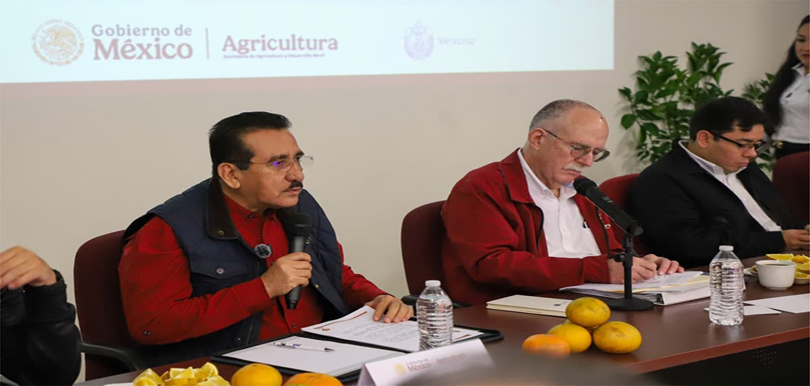 Rescate Citrícola en el Norte de Veracruz