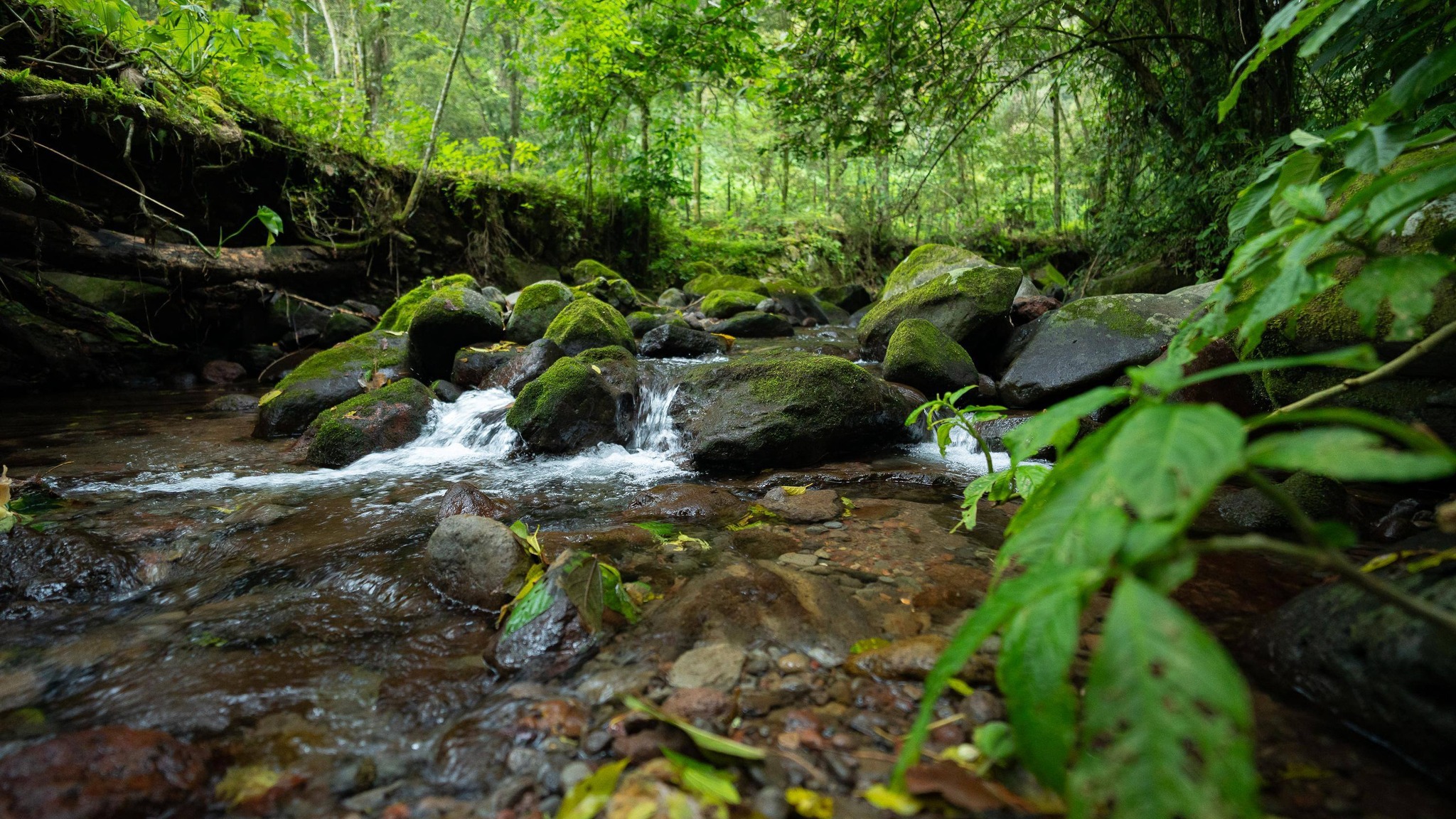 Turismo Comunitario en Tlalnelhuayocan