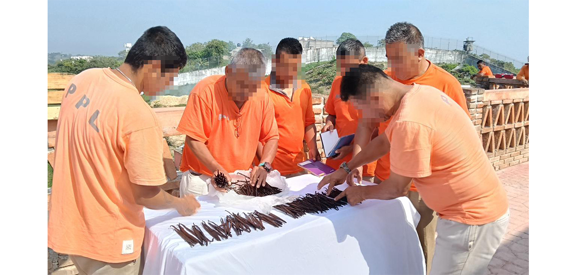 Sembrando Libertad: El Proyecto Xanath