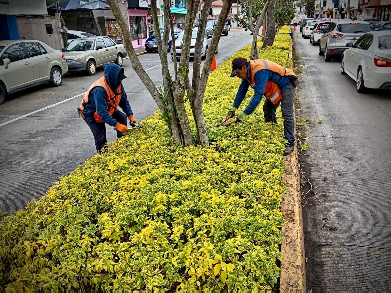 Xalapa Intensifica Mantenimiento de Parques y Areas Verdes