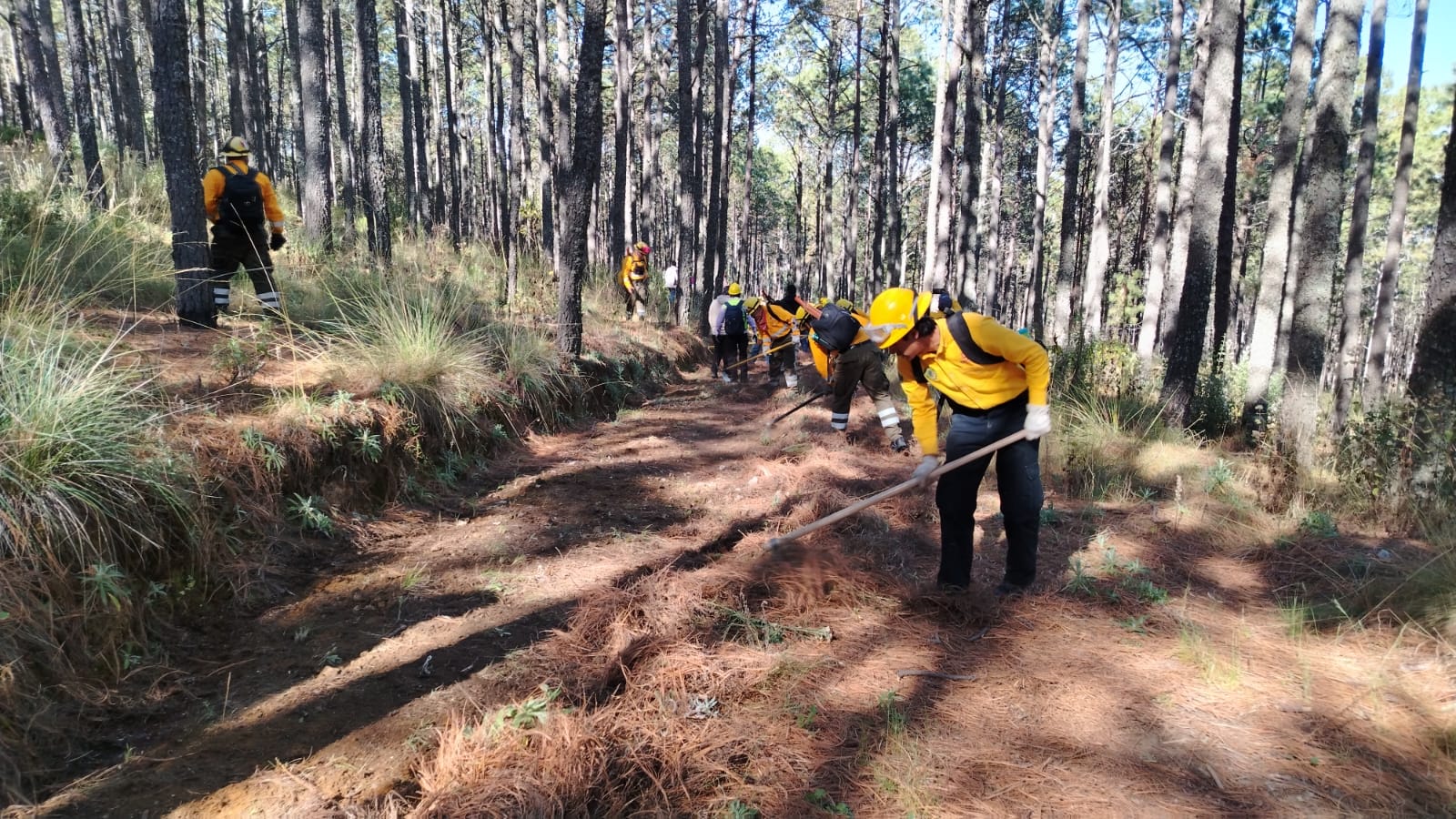 Capacitan a Brigadistas y Municipios en Combate Forestal