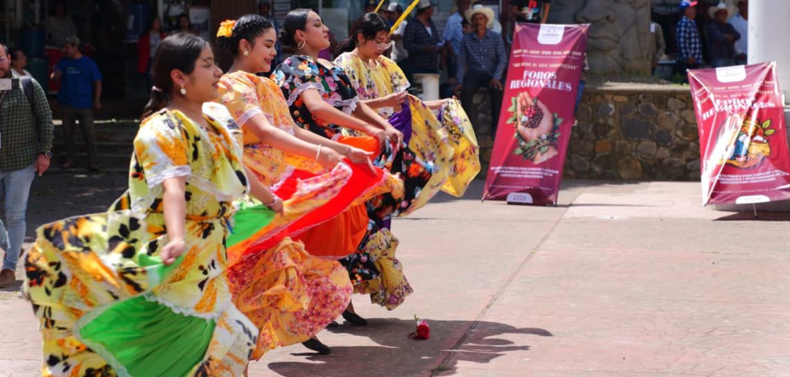 Foros Para Crear la Ley Veracruzana de Cafeticultura