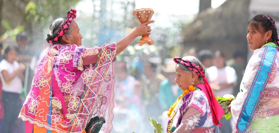 El Arte que Nace de la Milpa