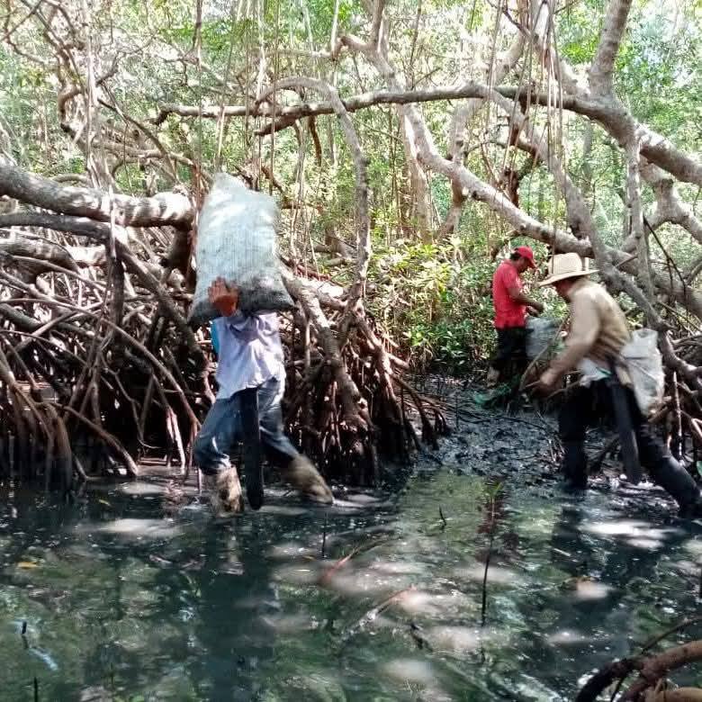 Derrame Petrolero Asfixia 630 Km de Litoral