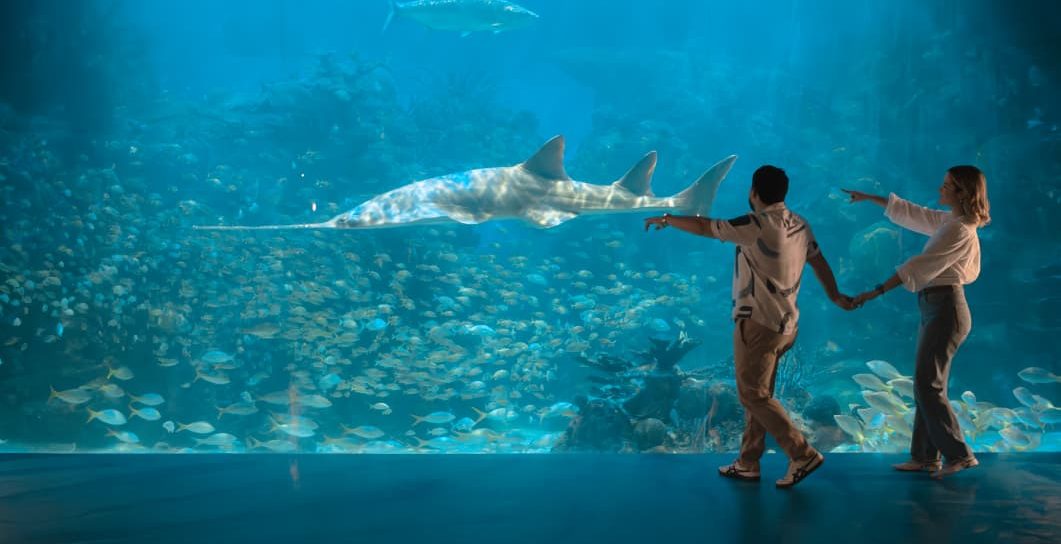 Impulsa Aquarium Educación y Convivencia