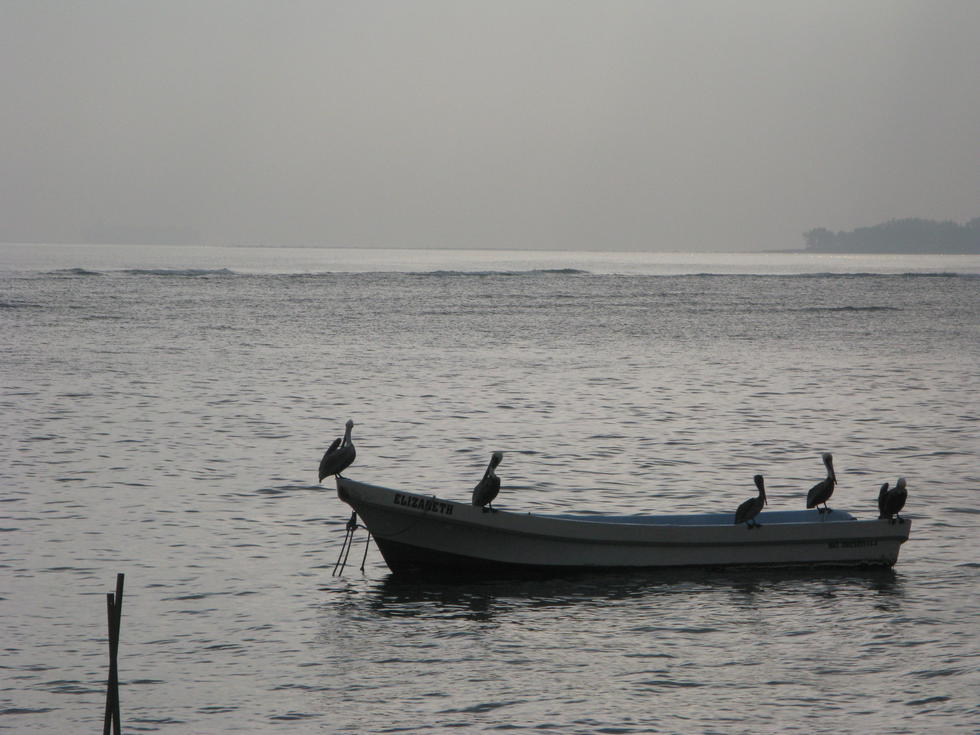 Hidrocarburo Paraliza la Pesca en Alvarado