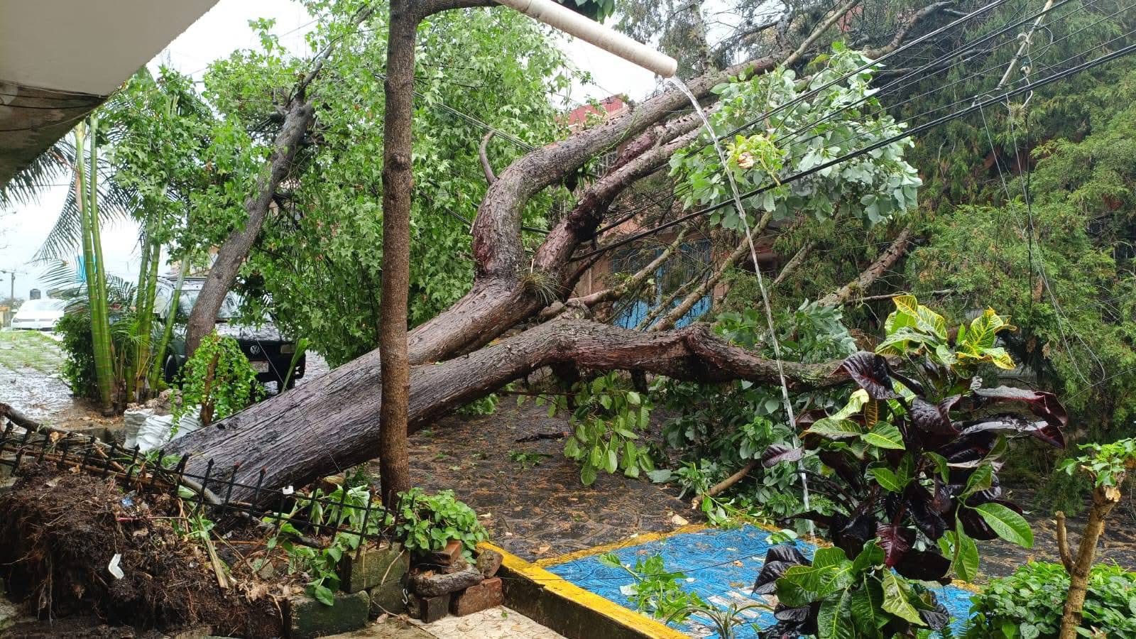 Despliegan Operativo de Emergencia en Xalapa