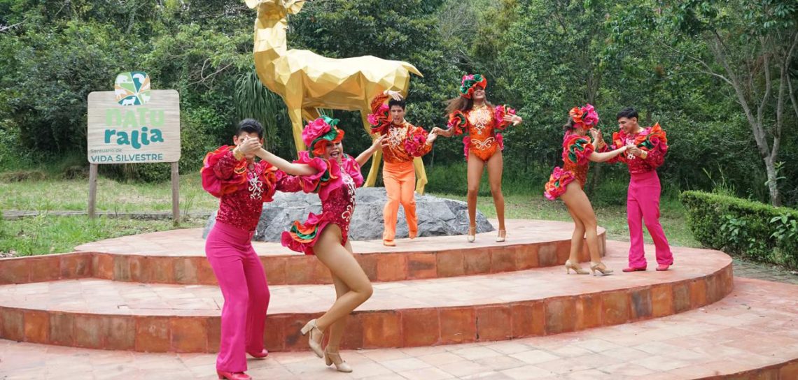 Salsa Fest Enriquece su Oferta con Experiencias Interactivas