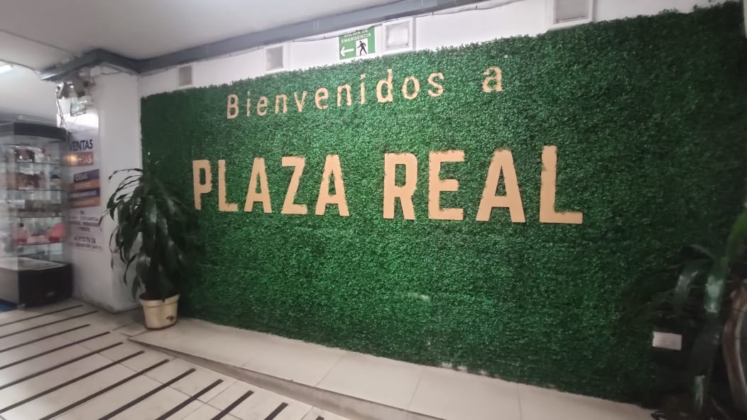 Imagen de respaldo